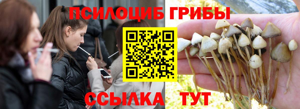 Галлюциногенные грибы мицелий Великий Устюг
